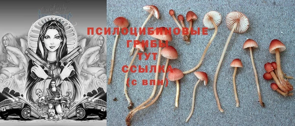 COCAINE Аркадак
