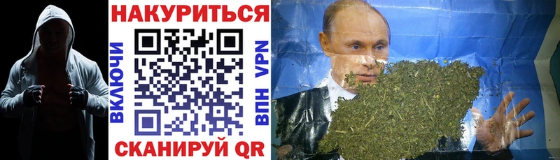 Бошки Шишки планчик  Калачинск 